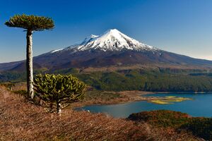 Volcán Llaima y Laguna Conguillío, desde Sierra Nevada.jpg