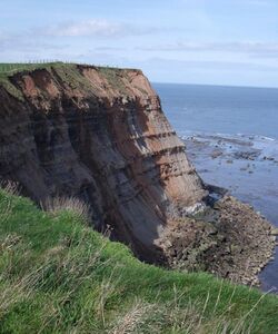 East Cliff near Whitby (geograph 2351860).jpg