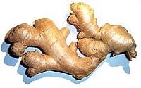 Zingiber officinale01.jpg