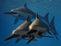 Ichthyosaurus anningae trio NT small.jpg