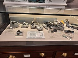 Turnersuchus holotype.jpg