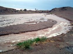muddy stream in Gobi Desert with grass in foreground and desert in background