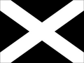 Auto racing disqualification flag