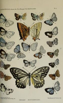 JournalAsiaticSocietyBengal1832Plate 1.jpg