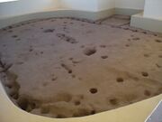 Sinagua pithouse, from 1050 CE. Two largest holes in the dirt floor held the timber roof supports. The holes around the edge reveal the outline of the structure.