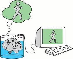 Diagram of a brain in a vat that is connected to a computer
