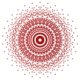 2 41 polytope petrie.svg
