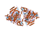 3exh: Crystal structure of the pyruvate dehydrogenase (E1p) component of human pyruvate dehydrogenase complex