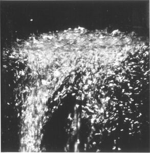 Lambda point transition: as the liquid is cooled down through 2.17 K, the boiling suddenly becomes violent for a moment.