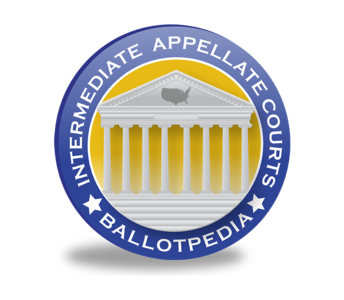 State intermediate appellate court elections, 2020