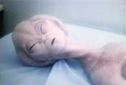 Grey alien film prop