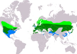 AsioOtusIUCN.svg