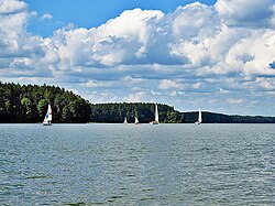 Wdzydze Lake (Pomeranian Voivodeship)