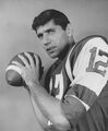 Football player Joe Namath