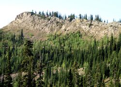 Morrissey Formation outcrop.jpg