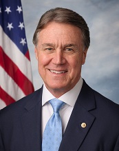 DavidPerdue2015.jpg