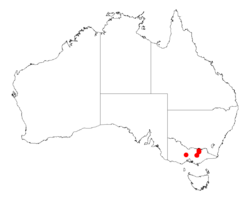 Acacia sporadicaDistMap846.png