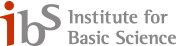 Logo of IBS