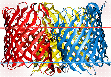 Anion-selective porin