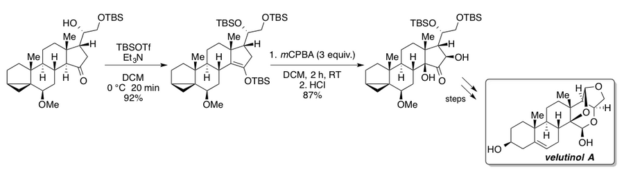 Rubottom velutinol A.png