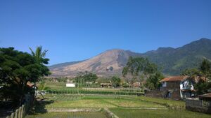 Guntur Tarogong Kaler.jpg