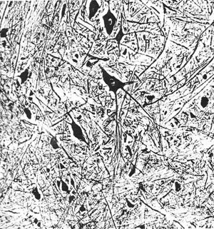 Holonomic Brain Theory 1.jpg