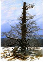 The Oak Tree in the Snow (1829). 71 × 48 cm. Alte Nationalgalerie, Berlin. Friedrich was one of the first artists to portray winter landscapes as stark and dead. His winter scenes are solemn and still—according to the art historian Hermann Beenken, Friedrich painted winter scenes in which "no man has yet set his foot".[52]