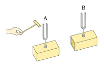 Two tuning forks being sounded by a hand (on the left).
