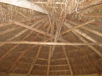 Insidethatchedroof.JPG