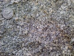 Woodstock quartz monzonite closeup.jpg