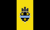 Flag of Pittsburgh