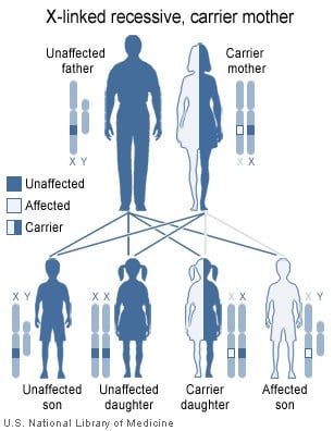 X-linked recessive inheritance