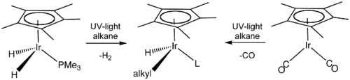 Skeletal formula presentation of a chemical transformation. The initial compounds have a C5H5 ring on their top and an iridium atom in the center, which is bonded to two hydrogen atoms and a P-PH3 group or to two C-O groups. Reaction with alkane under UV light alters those groups.