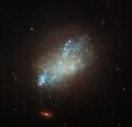 IC 559 is classified as a type Sm galaxy.[26]