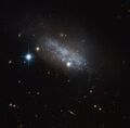 Irregular galaxy IC 3583 has been found to have a bar of stars running through its center.[22]