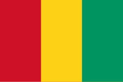 Flag of Guinea.svg