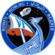 SpaceX Crew-6 logo.png