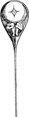 The homonculus