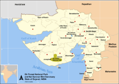 Distribution of lions in India. The Gir Forest, in the State of Gujarat, is the last natural range of approximately 300 wild Asiatic Lions.