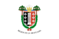 Flag of Araucanía Region