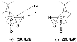 two optical isomers of camphorsulfonyl oxaziridine