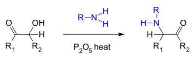 Voigt amination