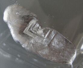 Crystallization of gallium from the liquid