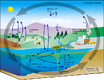Carbon cycle