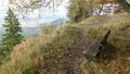 On the Oberhohenberg (1,010.7 m) – second highest elevation of the Swabian Jura