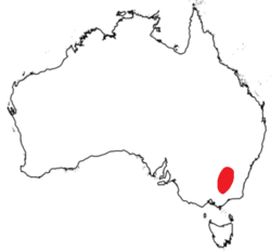 Woolly Ragwort (Senecio garlandii) distribution.png