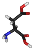L-aspartic-acid-3D-sticks.png