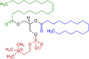 Example of a phosphatidylcholine