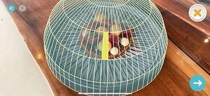 Qlone Screenshot.jpeg