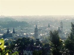 View from the Lion Mountain to the historic center of Lviv